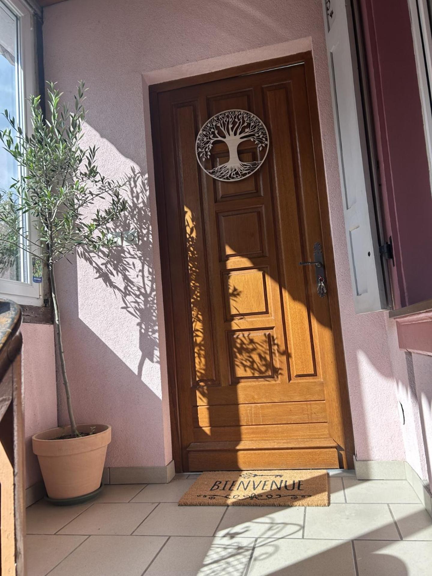 Le Petit Coin Des Oliviers Apartment Colmar Exterior photo